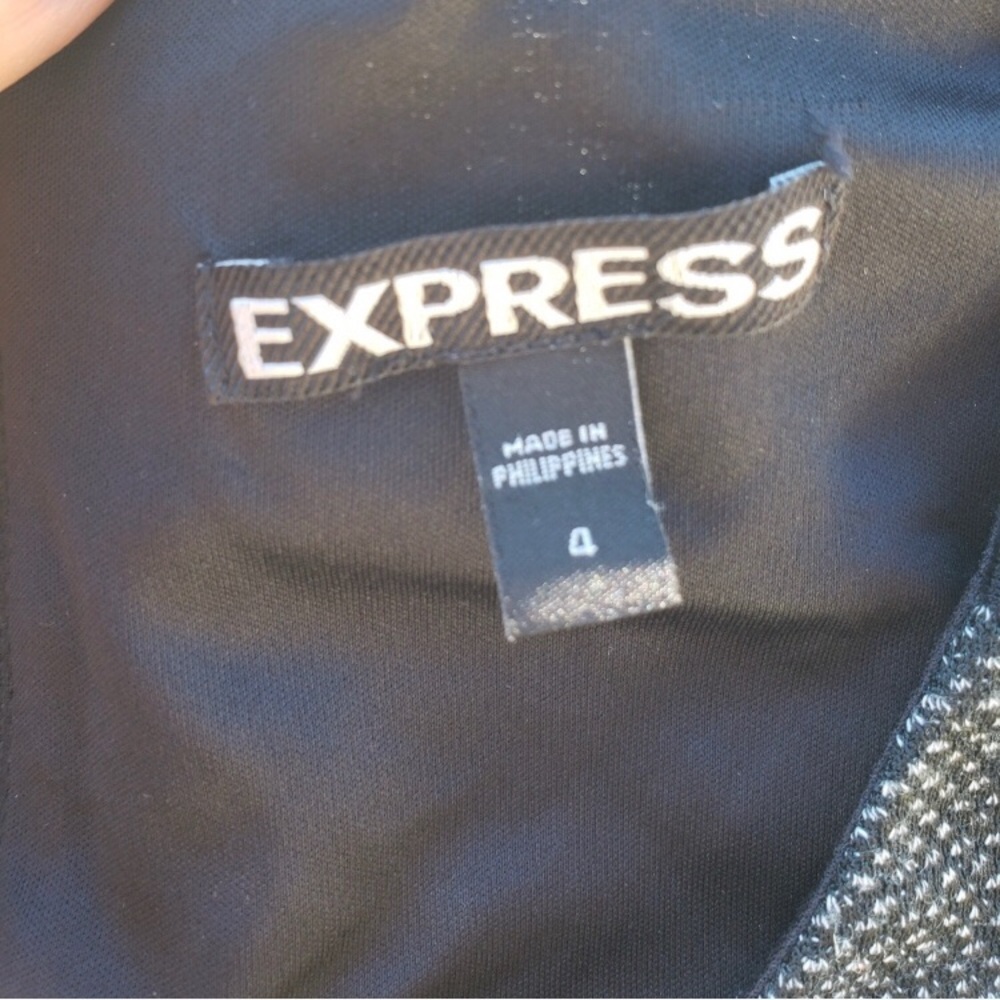 Express Dress - Picture 4 of 4